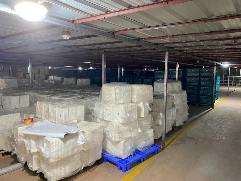 近年环保纸托在行业的发展趋势